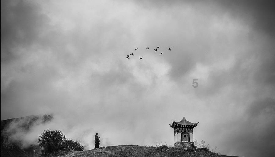 帕克：077暂时进不了欧洲球员GOAT的讨论中 因他还没拿过总冠军